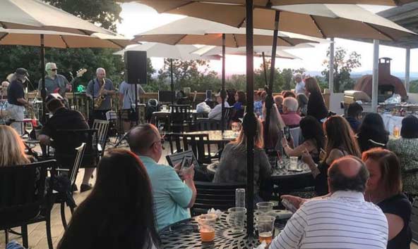 bride and groom on lawn