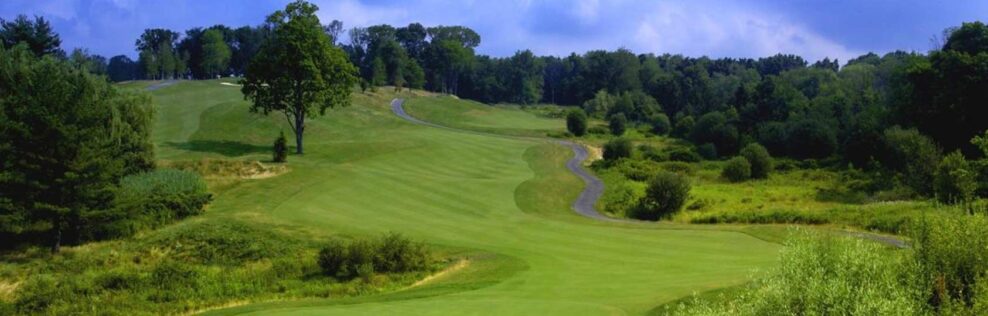 image of golf green looking uphill